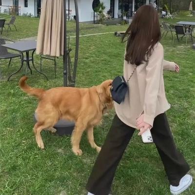 宝岛妖后